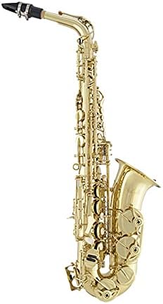Prelude Student Model AS711 Alto Saxophone by Conn-Selmer, MultiColored