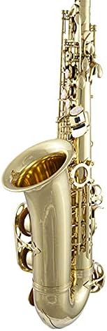 Prelude Student Model AS711 Alto Saxophone by Conn-Selmer, MultiColored
