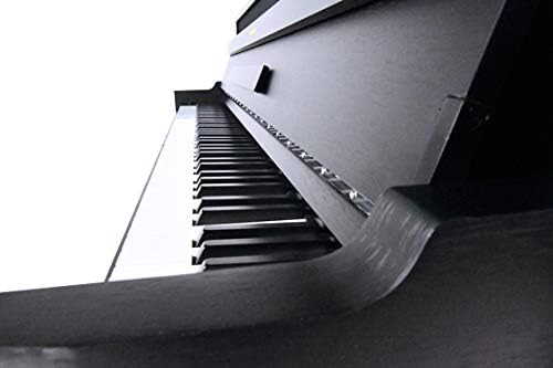 Suzuki VG-88 Vertical Grand Console Digital Piano
