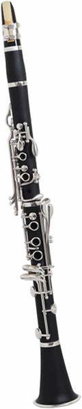 Bb Clarinet Ebony Double Reed Tube For Exams/Bands Clarinet Set