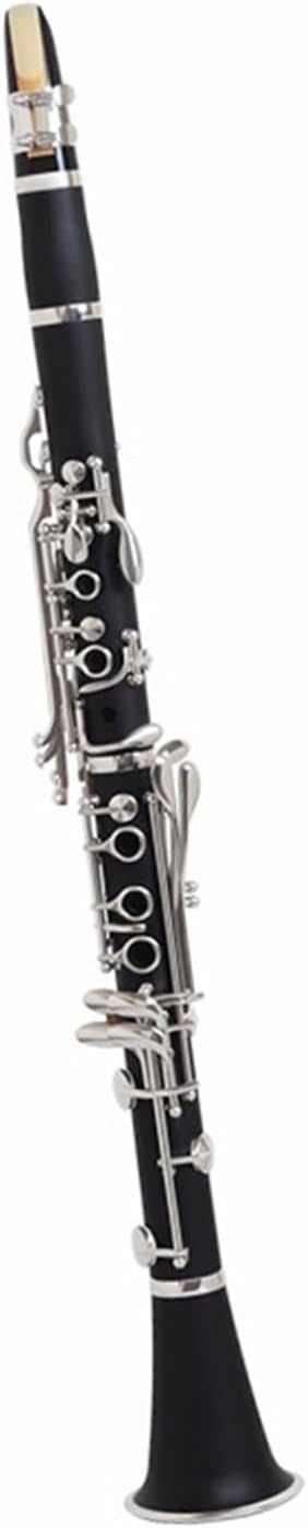 Bb Clarinet Ebony Double Reed Tube For Exams/Bands Clarinet Set