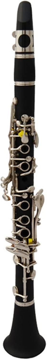 TSTS The Clarinet Instrument E Flat Clarinet, ABS Bakelite Body, is Suitable for Beginners to Play Clarinet for Beginner