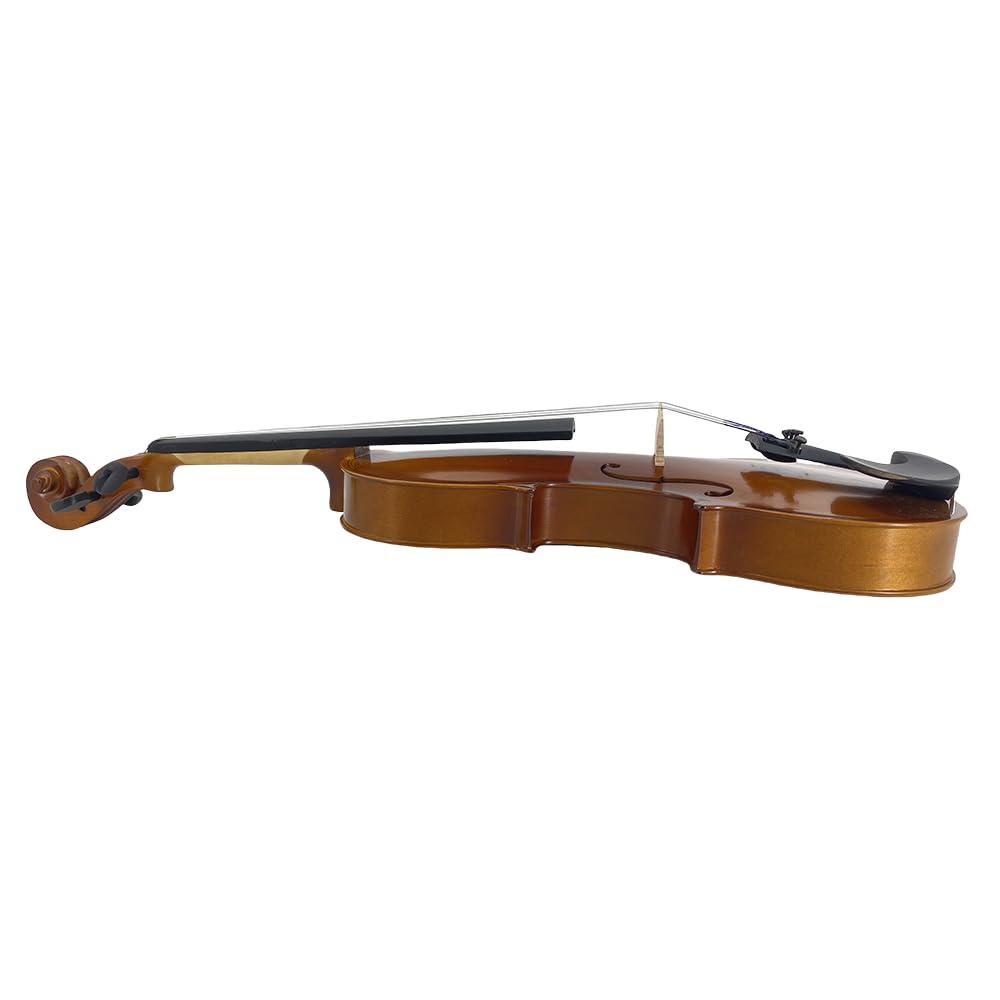 4/4 Violin for Beginners & Adults, Full Size Solid Wood Acoustic Violin with Flamed Back, Case, Bow,Shoulder Rest & Accessories Glossy Finish