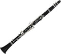 Clarinet Bb Beginner Exam Playing Woodwind Instrument Clarinet