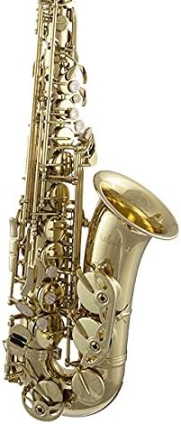 Prelude Student Model AS711 Alto Saxophone by Conn-Selmer, MultiColored