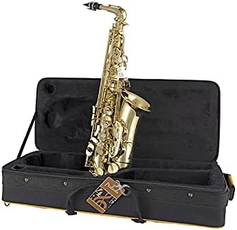 Prelude Student Model AS711 Alto Saxophone by Conn-Selmer, MultiColored