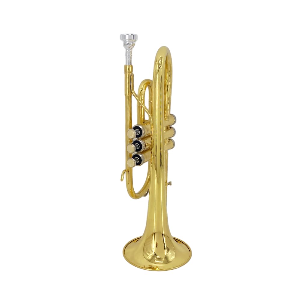 Bb Cornet Brass Instrument, B Flat Nickel Plated with Mouthpiece, Carrying Case, Gloves and Cleaning Cloth, Professional Cornet for Students and Beginners（Golden）