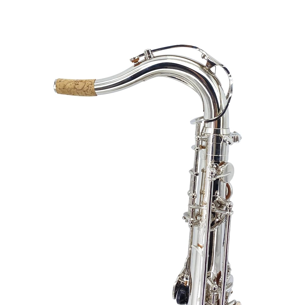 Beginner Alto Saxophone, E Flat - Complete Starter Kit with Case & 10 Reeds, for Adults & Students, Easy to Play for School Band & Practice(Gold)