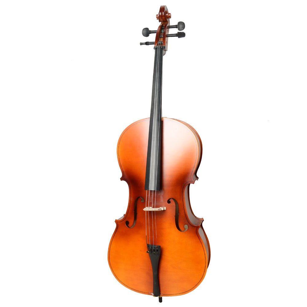 Vasitelan Full-Size Cello, Beginner Cello 4/4, Acoustic Cello Kit with Portable Bag, Bow, Bridge, Rosin, String Musical Instruments (Black)