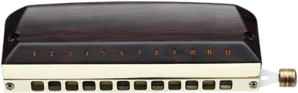 Chromatic Harmonica 12 Holes Mouth Organ Ebony Cover Harp Professional Armonica Instrumentos Wood Musical Instruments