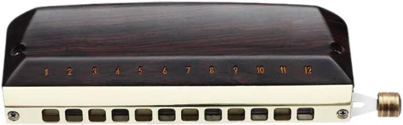 Chromatic Harmonica 12 Holes Mouth Organ Ebony Cover Harp Professional Armonica Instrumentos Wood Musical Instruments