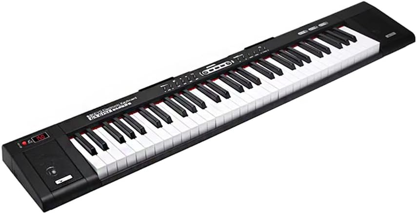 Electronic Organ Suitable for Beginners, 61-Keyboard Piano, 22MM Standard Piano Keyboard, Portable Professional Musical Instrument for Adults