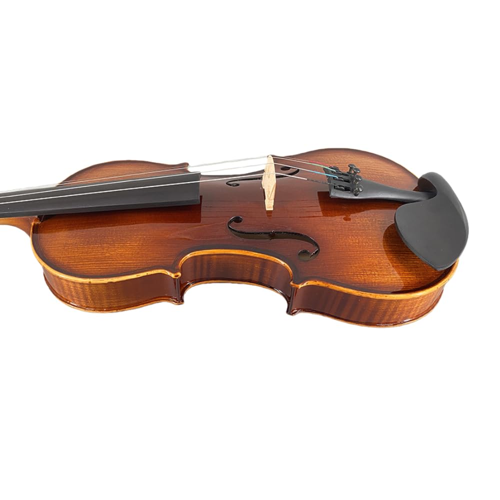 4/4 Violin Kit for Beginners - Perfect for School Orchestra & Daily Practice, Solidwood Maple/Basswood Construction, Matte Black Finish, Hard Case & All Accessories Included