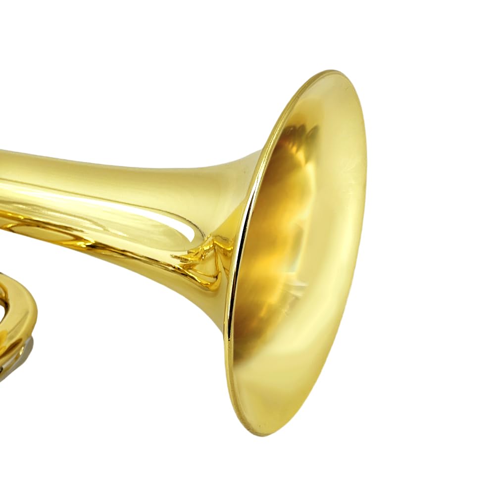 Bb Trumpet for Beginners – Standard B Flat Brass Instrument with 7C Mouthpiece, Hard Case & Cleaning Kit, Student Trumpet for Band Practice, Lessons & Gift (Golden)