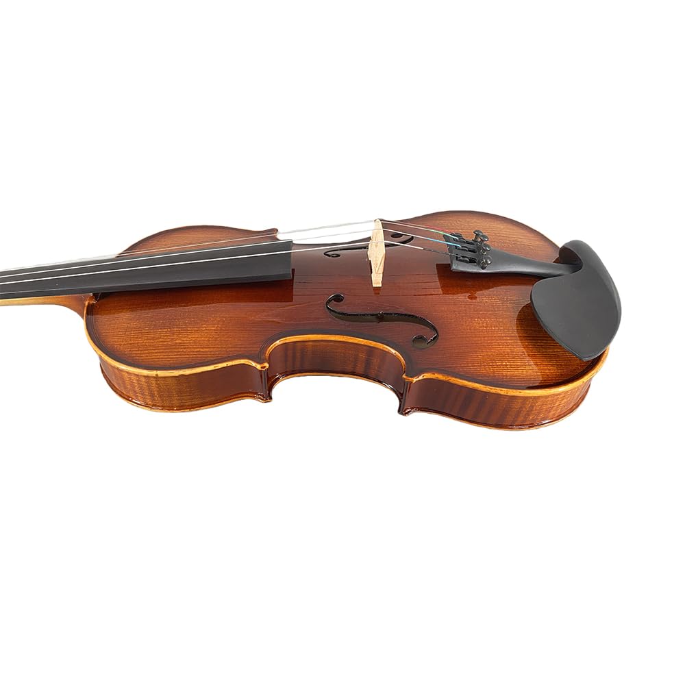4/4 Violin for Beginners & Adults, Full Size Solid Wood Acoustic Violin with Flamed Back, Case, Bow,Shoulder Rest & Accessories Glossy Finish