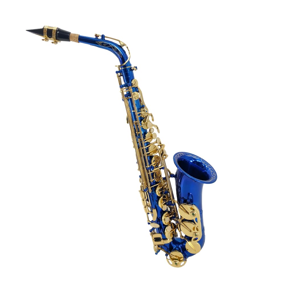 Alto Saxophone E Flat for Adults Student Sax Eb Alto Full Kit With Carrying Sax Case Mouthpiece Straps Reeds Saxophone Beginner Kit