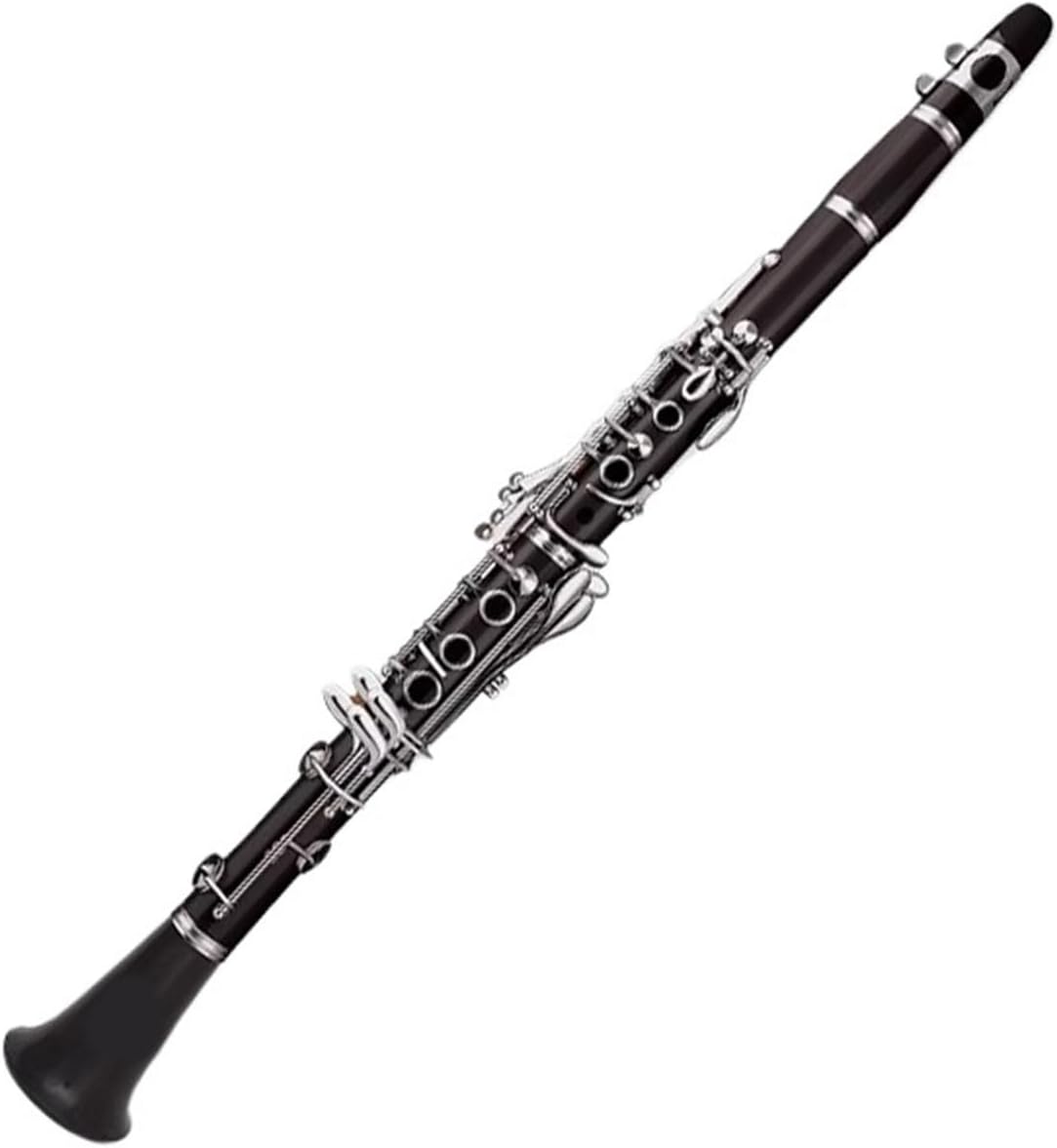 Ebony clarinet 17 keys B flat double two section adjustment instrument for beginners to play and examination Clarinet