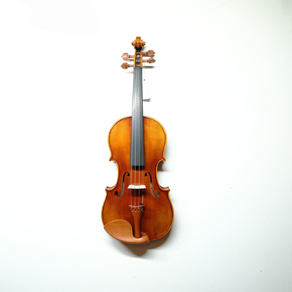 Master 4/4 Full-Size Violin | Hand-Varnished with 20+ Year Aged Italian Spruce & Bosnian Maple | Professional Orchestra Instrument for Professional soloists and session players (VIO1328)