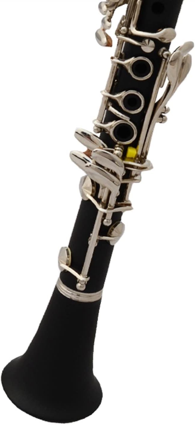 TSTS The Clarinet Instrument E Flat Clarinet, ABS Bakelite Body, is Suitable for Beginners to Play Clarinet for Beginner