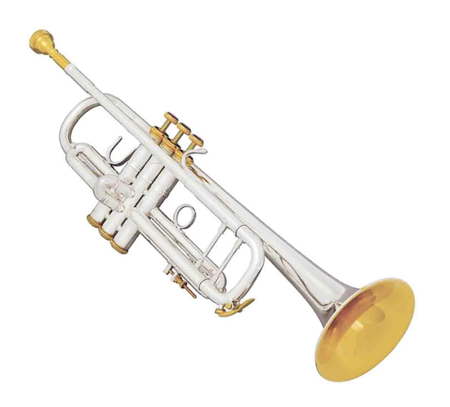 Bach Trumpet-Standard, Silver (180S37)