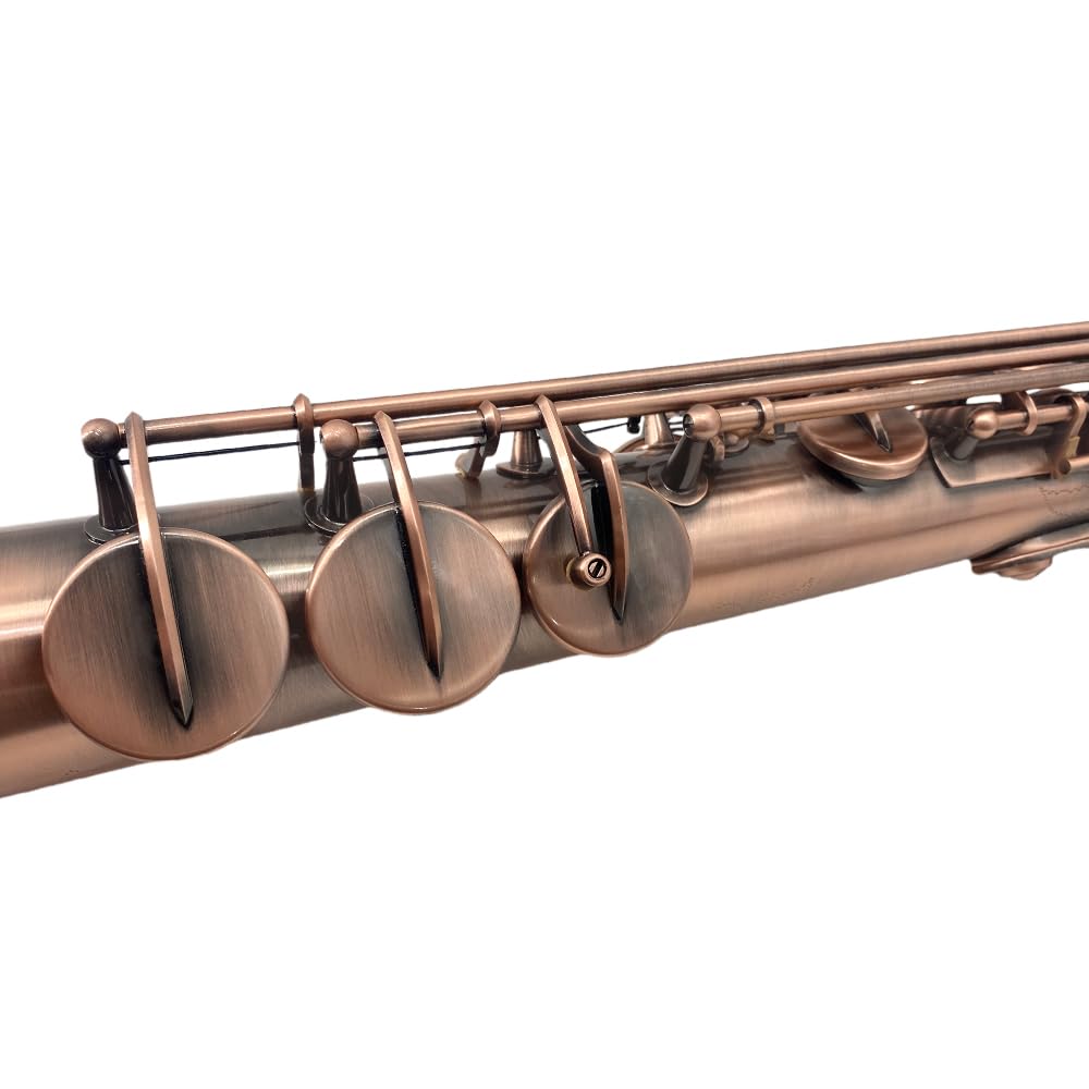 Bb Straight Soprano Saxophone–Gold Lacquer Finish, Ergonomic Design with Case, Mouthpiece, Neck Strap & Accessories, Ideal for Beginners & Advanced Players（Golden）
