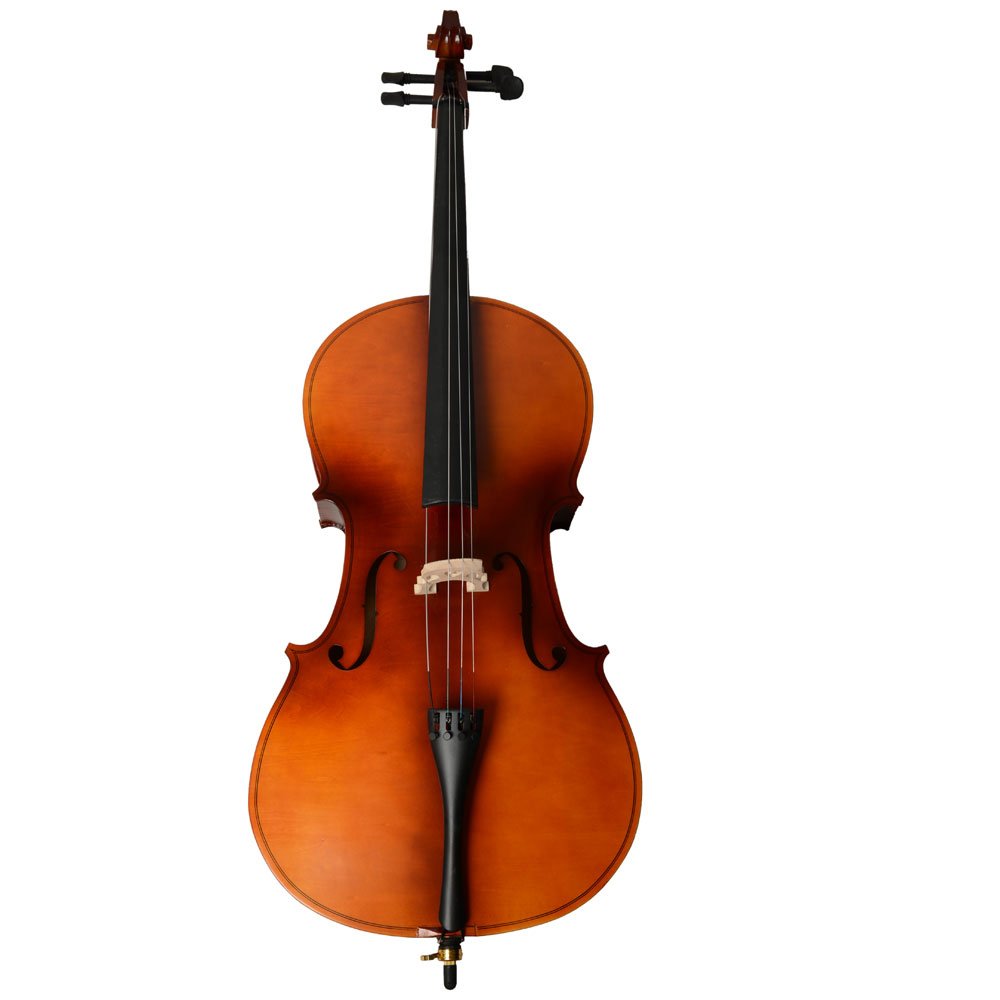 Vasitelan Full-Size Cello, Beginner Cello 4/4, Acoustic Cello Kit with Portable Bag, Bow, Bridge, Rosin, String Musical Instruments (Black)