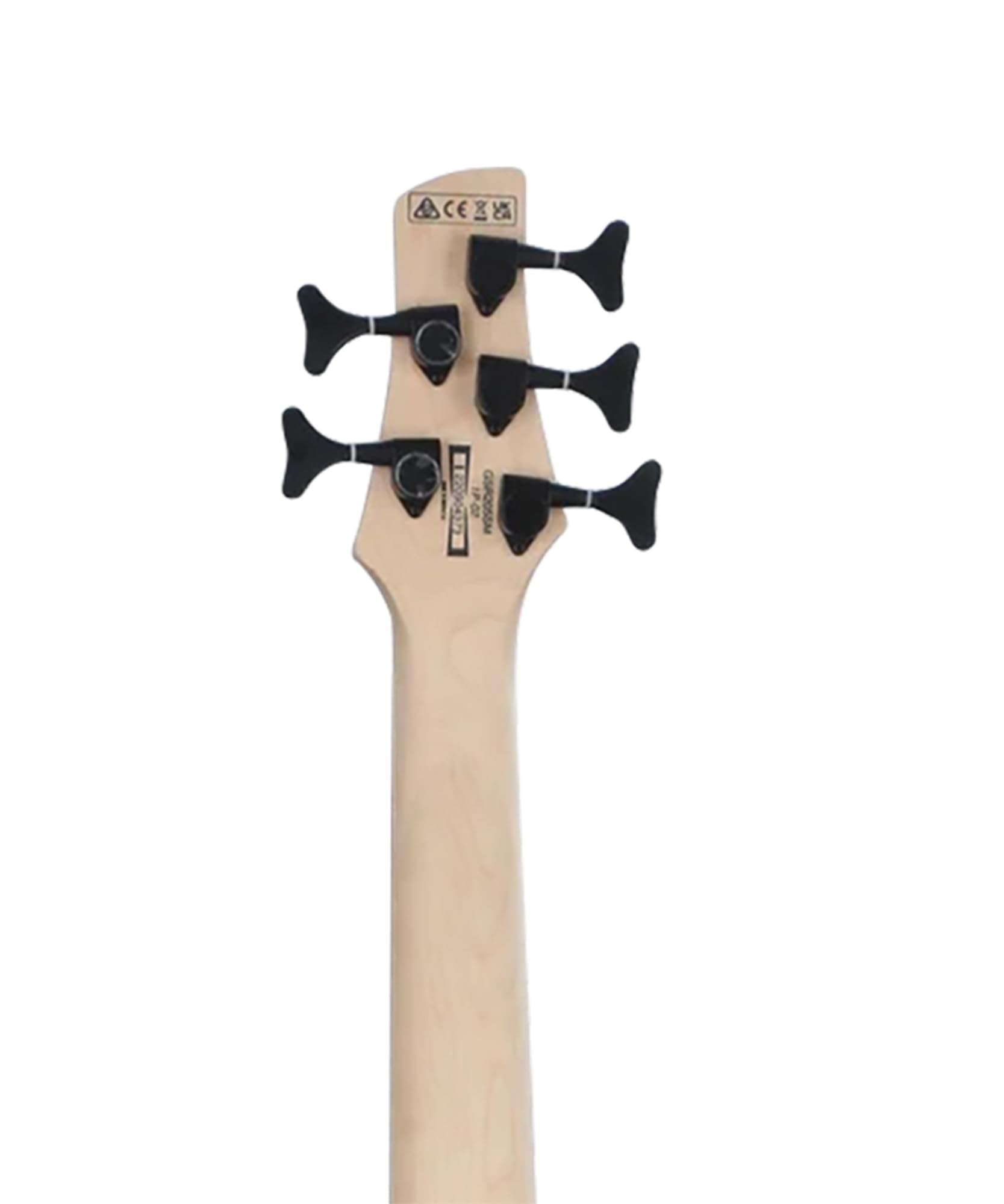 Ibanez GSR205B SR Gio 5-String Bass Guitar - Walnut Flat Bundle with Gig Bag, Tuner, Strap, Cable, Austin Bazaar Instructional DVD, and Polishing Cloth
