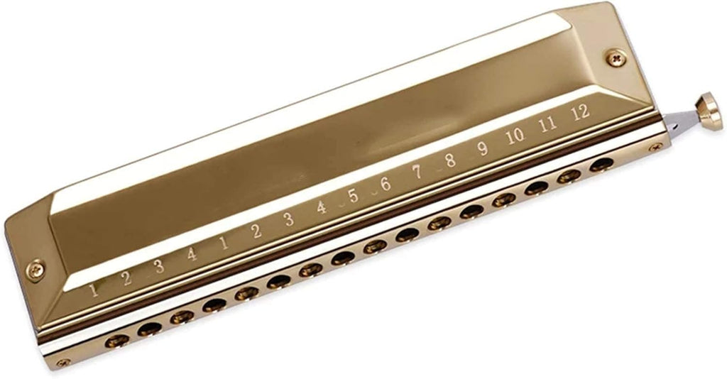Harmonica Harmonica 16 Hole 64 Tone Mouth Organ Key of C Professional Musical Instruments (Gold)