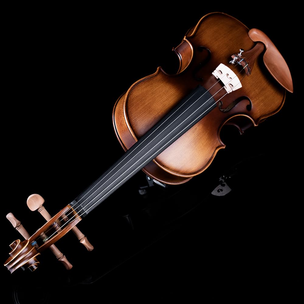 Rhythm Violin Set for Beginners,Acoustic Violins Starter Kit Package for Student,Beginners Fiddle with Hard Case, Rosin, Shoulder Rest, Bow, and Extra Strings (NATURAL, Full)