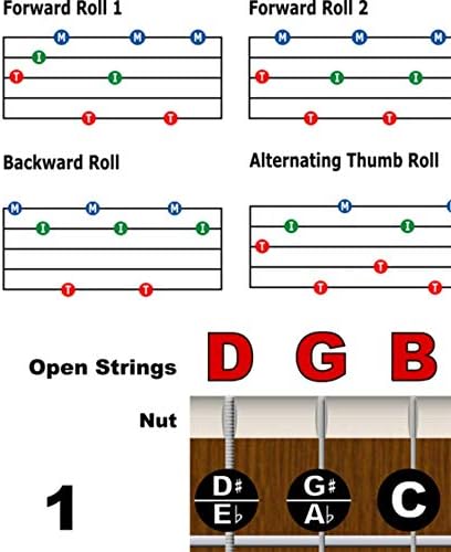 Banjo Chord Chart, Fretboard Notes & Right-Hand Rolls, Laminated 11x17 | Build confidence with chords, fretboard notes and right-hand rolls on one large laminated banjo practice reference.