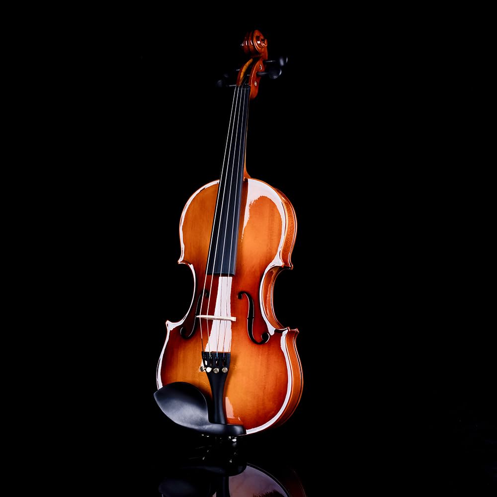 Rhythm Violin Set for Beginners,Acoustic Violins Starter Kit Package for Student,Beginners Fiddle with Hard Case, Rosin, Shoulder Rest, Bow, and Extra Strings (NATURAL, Full)