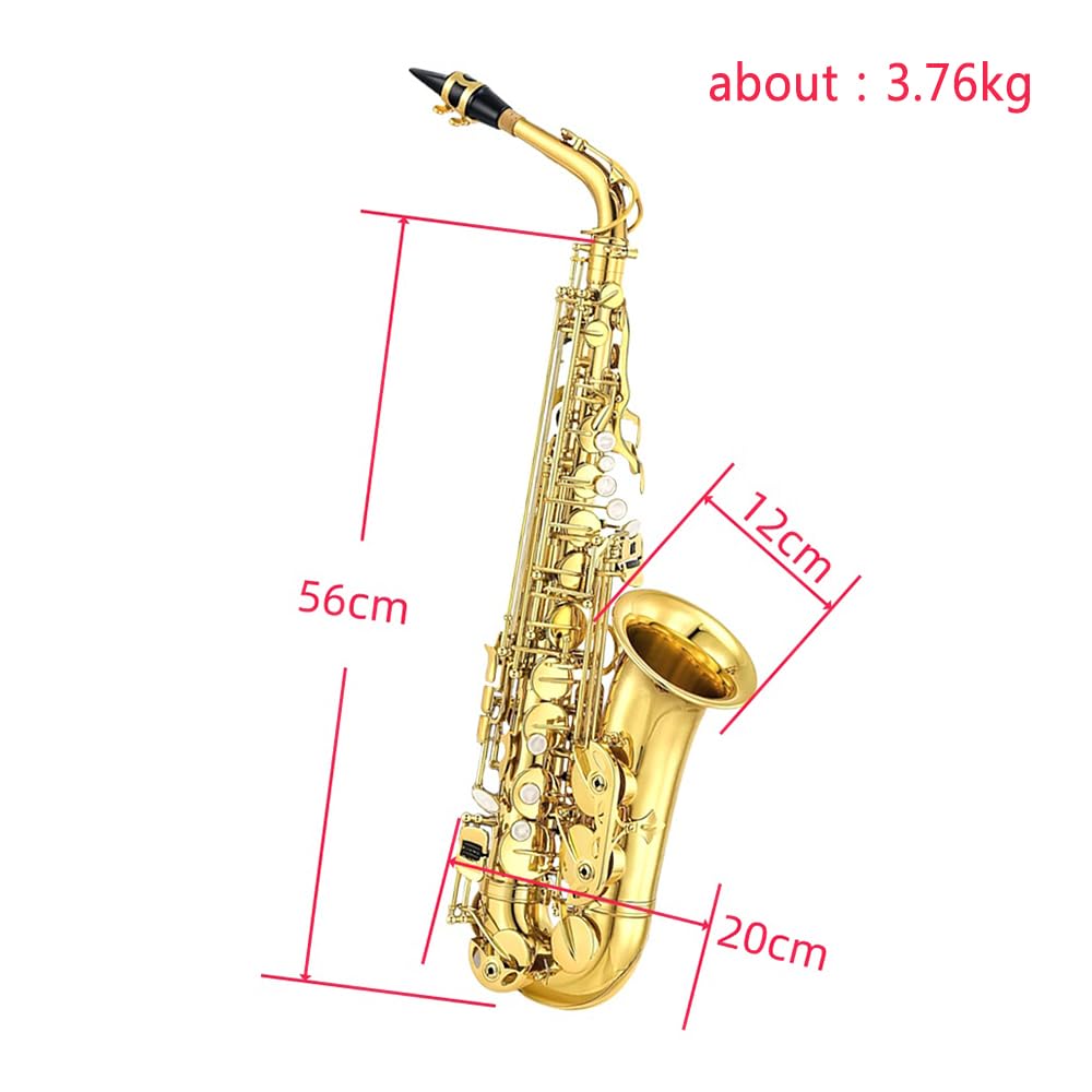 Vetimobato Student Alto Saxophone E Flat for Adults Beginner to Intermediate Eb Sax Kit Gold Lacquer Full Brass Instrument with Hard Case, Mouthpiece, 10 Reeds, 8 pads, Neck strap, Cleaning Kit