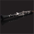 TSTS B-Flat Clarinet Nickel Plated for Beginners Adult Professional Playing Grades Clarinet for Beginner