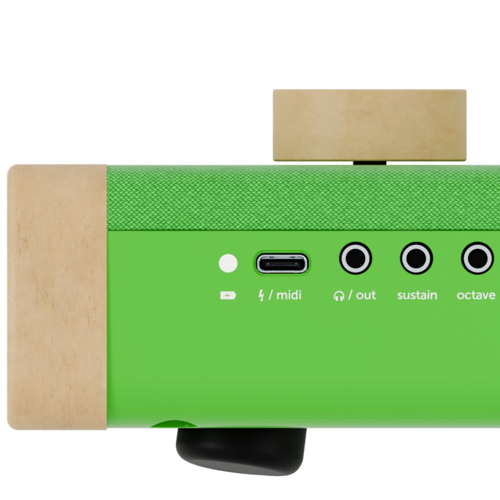 Loog digital piano - portable keyboard for beginners with musician grade sound, MIDI over USB-C rechargeable musical educational instrument