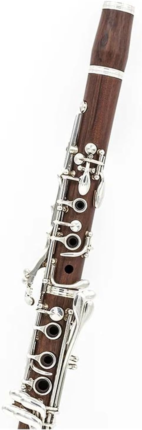 Beginner Clarinet 17 key professional clarinet