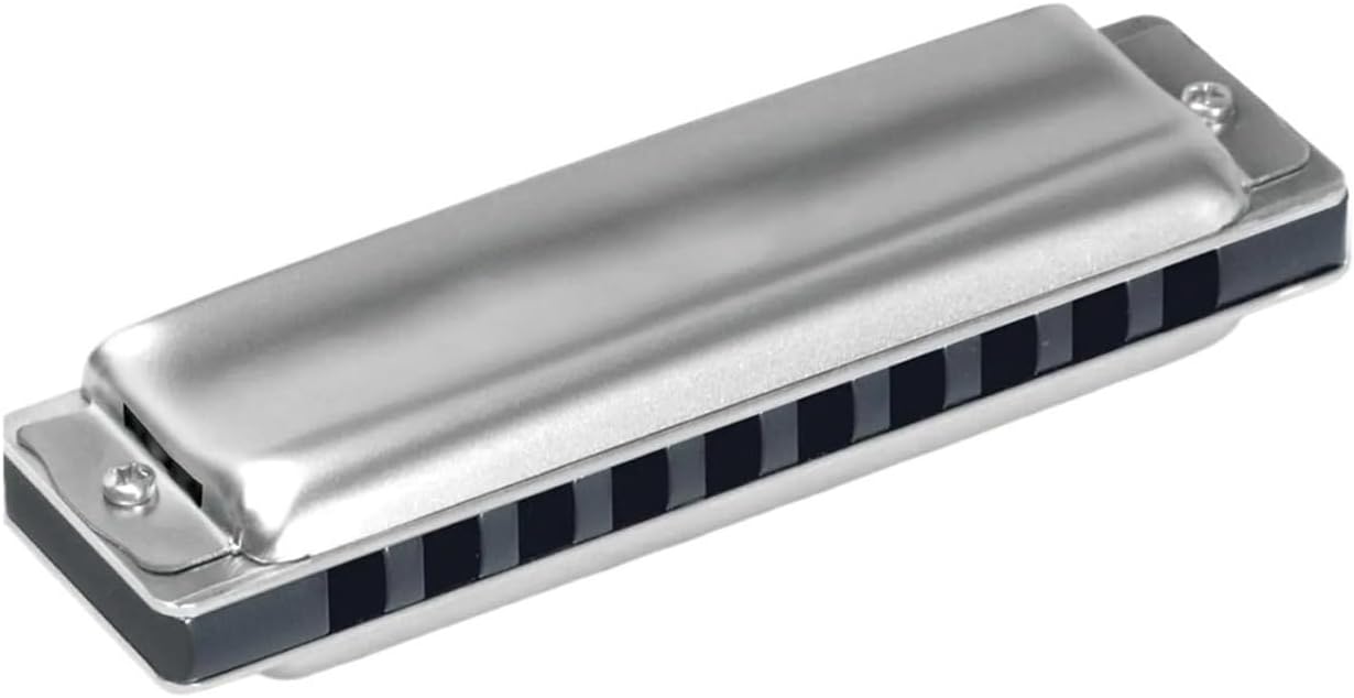 Harmonica C Mouth Organ Prefessional Armonica Instrumentos Musical Instrument harmonica set
