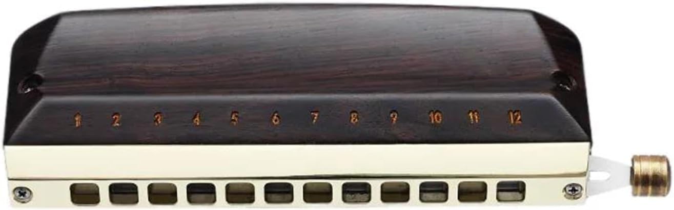 Chromatic Harmonica 12 Holes Mouth Organ Ebony Cover Harp Professional Armonica Instrumentos Wood Musical Instruments