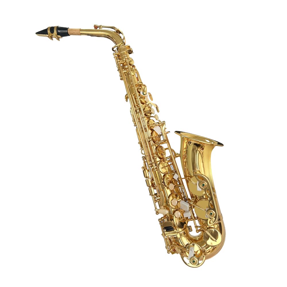Yinfente Eb Alto Saxophone For Beginners Adult,Saxophone Student,E Flat Alto Sax Full Kit With Reeds,Pads Cushions,Hard Carrying Case,Cleaning Cloth & Rod,Mouthpiece,Gloves,Neck Strap Gold