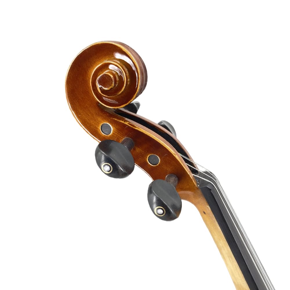 4/4 Violin Kit for Beginners - Perfect for School Orchestra & Daily Practice, Solidwood Maple/Basswood Construction, Matte Black Finish, Hard Case & All Accessories Included