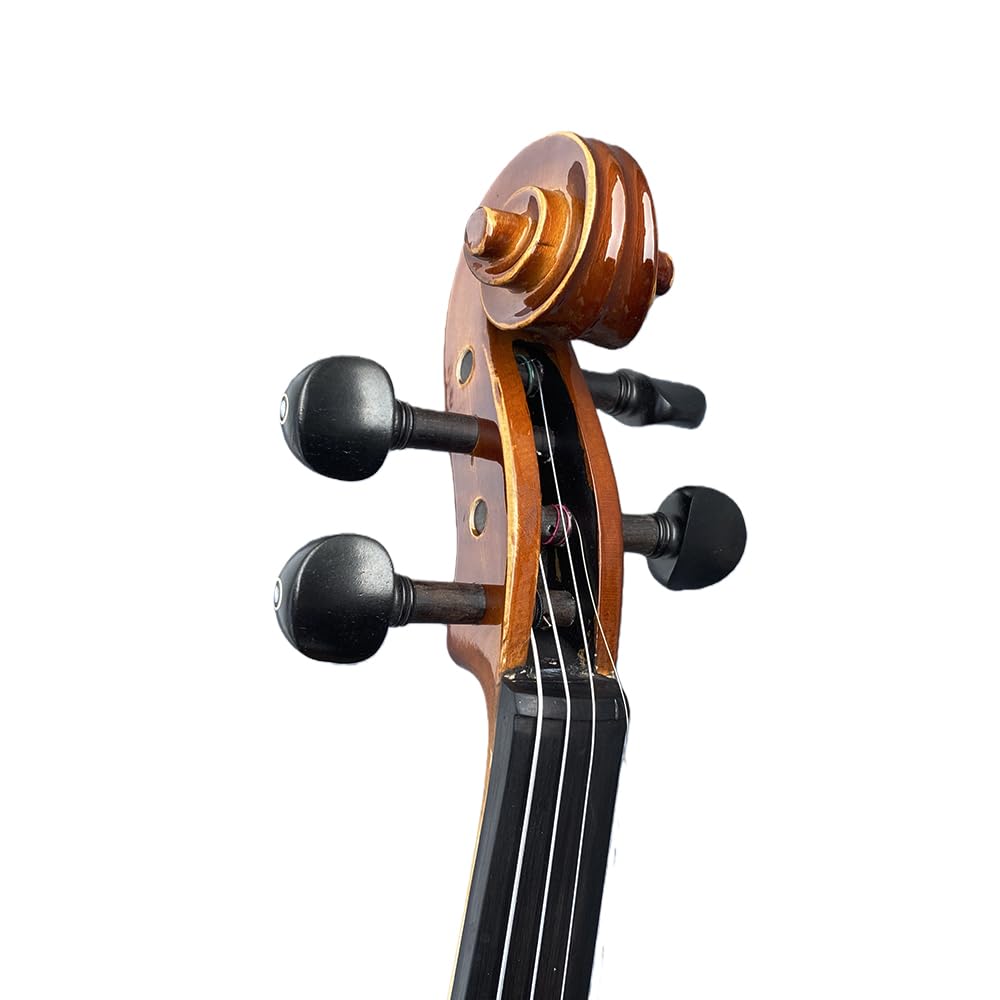 4/4 Violin Kit for Beginners - Perfect for School Orchestra & Daily Practice, Solidwood Maple/Basswood Construction, Matte Black Finish, Hard Case & All Accessories Included