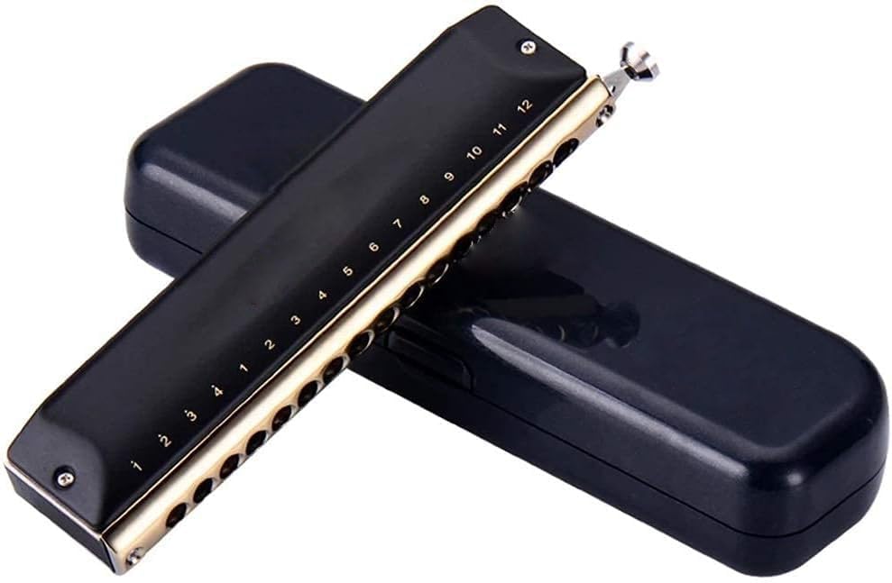 Chromatic Harmonica 16 Holes 64 Tone Mouth Organ Instrumentos Key C Professional Musical Instruments T1664 (Black Abs Comb Key C)