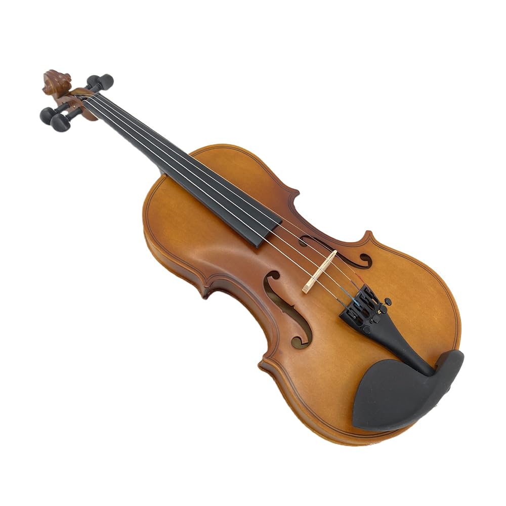 4/4 Violin Kit for Beginners - Perfect for School Orchestra & Daily Practice, Solidwood Maple/Basswood Construction, Matte Black Finish, Hard Case & All Accessories Included