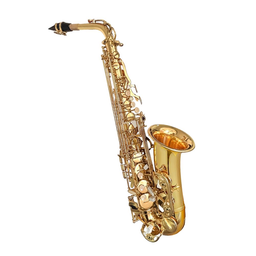 Beginner Alto Saxophone, E Flat - Complete Starter Kit with Case & 10 Reeds, for Adults & Students, Easy to Play for School Band & Practice(Gold)