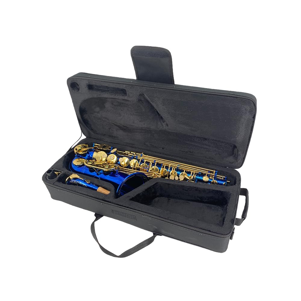 Student Eb Alto Saxophone E Flat for Beginners Sax Full Kit with Pads Cushions,Hard Carrying Case,Neck Strap,Reeds,Cleaning Cloth & Rod,Mouthpiece,Gloves