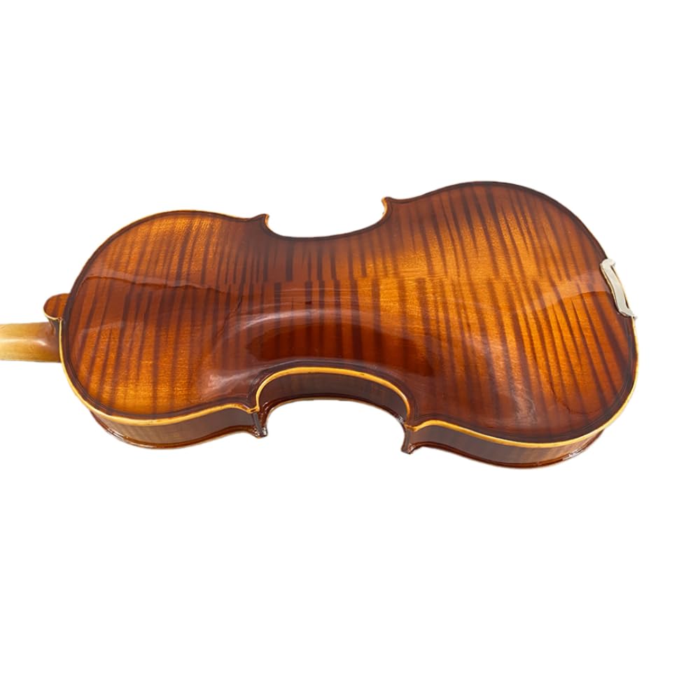 4/4 Violin Kit for Beginners - Perfect for School Orchestra & Daily Practice, Solidwood Maple/Basswood Construction, Matte Black Finish, Hard Case & All Accessories Included