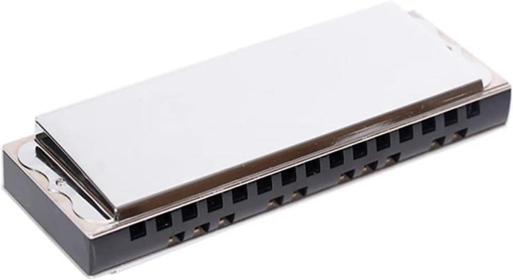 Professional Bass Harmonica 25 Holes Performance, Bass Harp Mouth Organ Musical Instruments Harmonica Professional