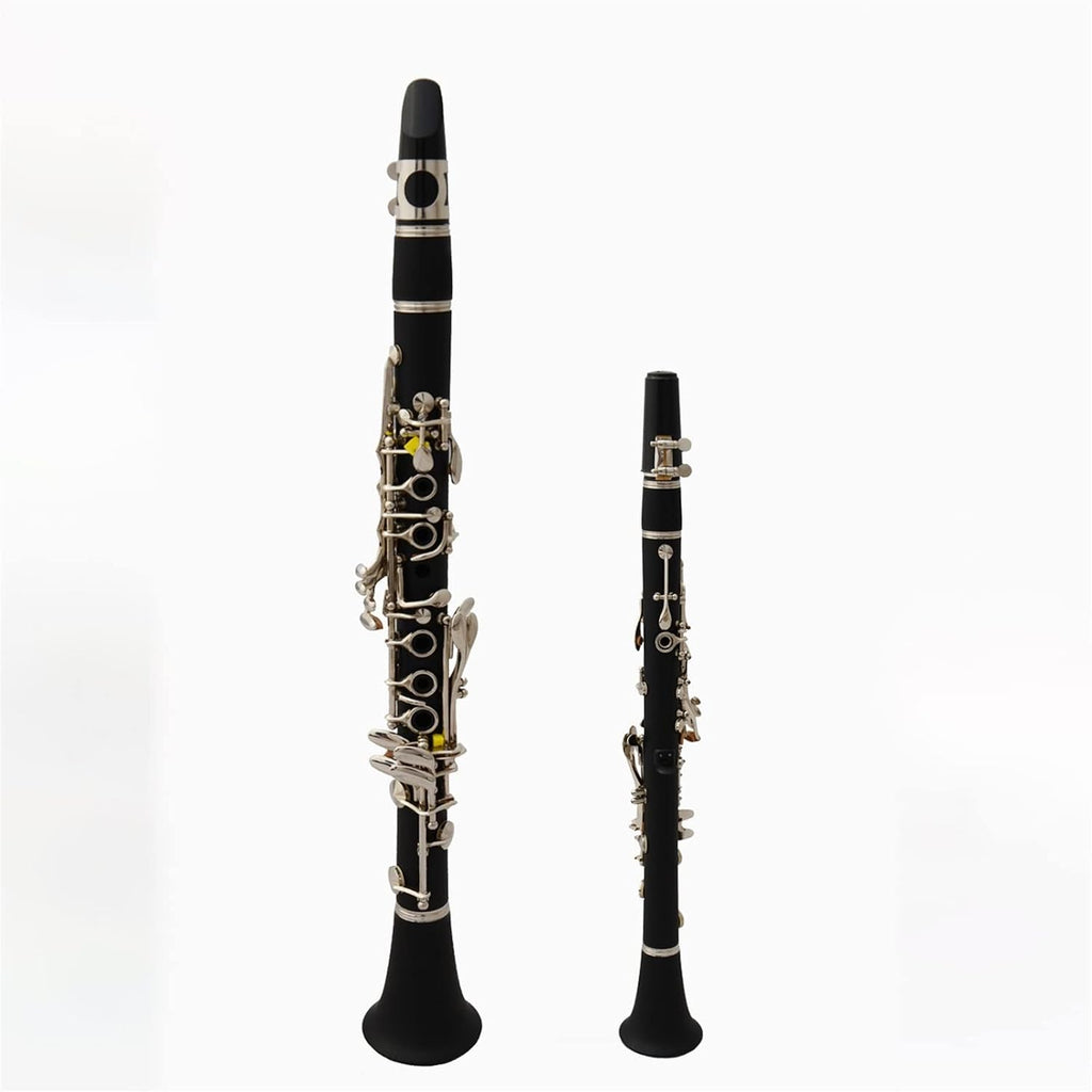 TSTS The Clarinet Instrument E Flat Clarinet, ABS Bakelite Body, is Suitable for Beginners to Play Clarinet for Beginner