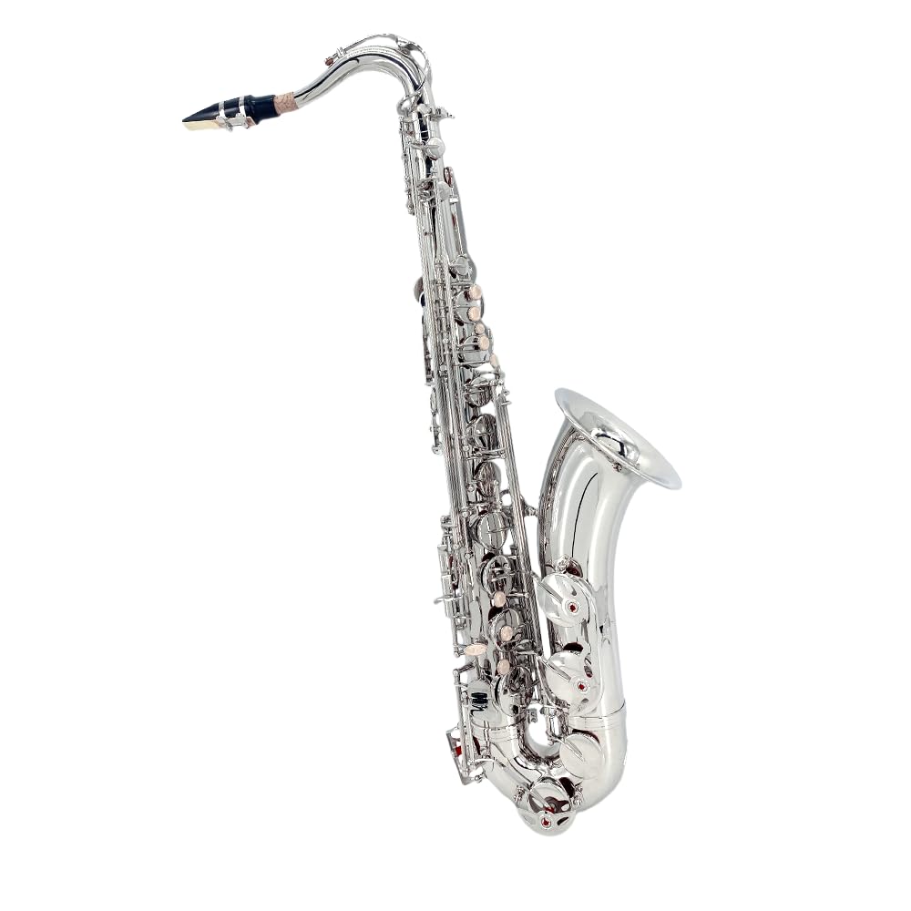 Beginner Alto Saxophone, E Flat - Complete Starter Kit with Case & 10 Reeds, for Adults & Students, Easy to Play for School Band & Practice(Gold)
