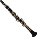 TSTS The Clarinet Instrument E Flat Clarinet, ABS Bakelite Body, is Suitable for Beginners to Play Clarinet for Beginner