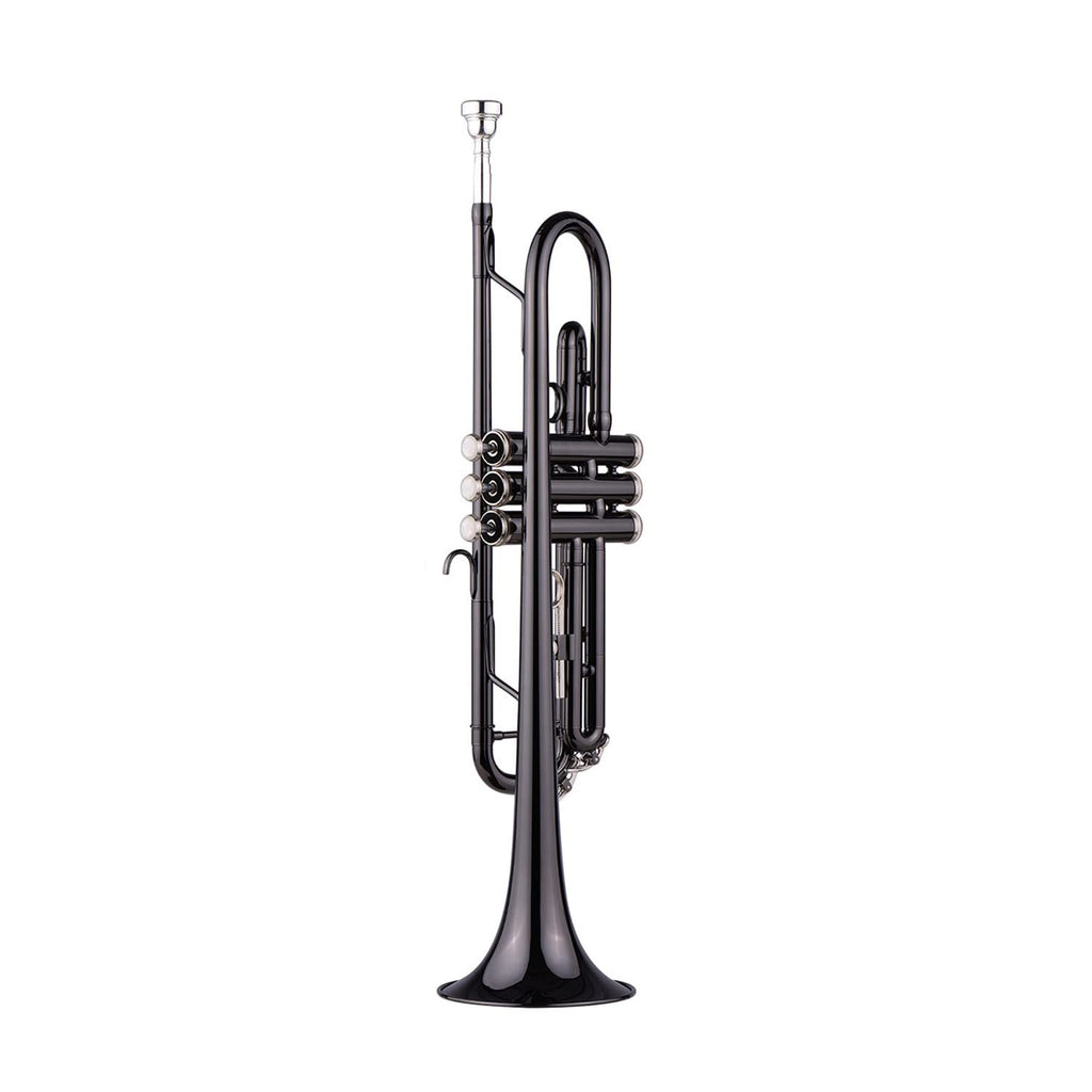 LeSage Bb Standard Trumpet Set for Beginner, Brass Student Trumpet with Carrying Case, Care Kit, Valve Oil, Cloth, 7C Mouthpiece & Gloves Silver